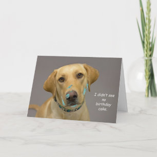 Cartão Yellow Lab Birthday Card by Focus for a Cause