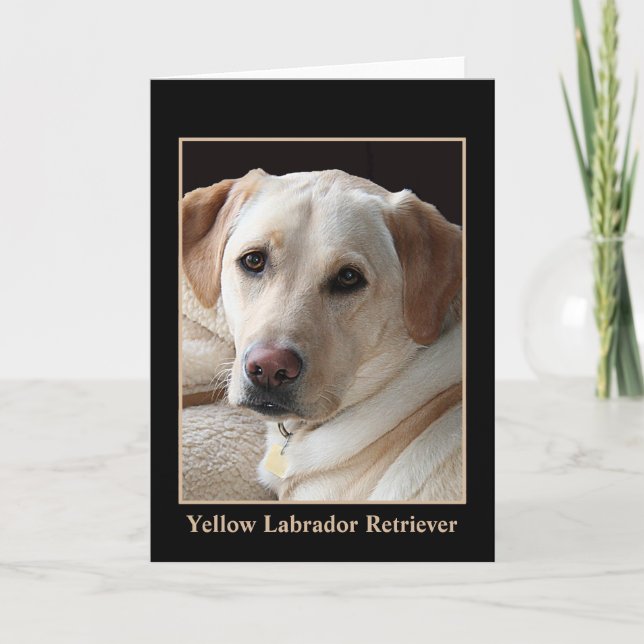 Cartão Yellow Labrador Retriever Greeting Card (blank) (Frente)