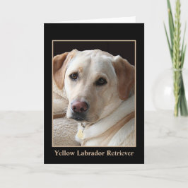 Cartão Yellow Labrador Retriever Greeting Card (blank)