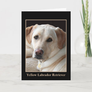 Cartão Yellow Labrador Retriever Greeting Card (blank)