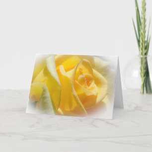 Cartão Yellow Rose Blank Greeting Card