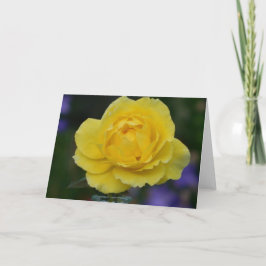 Cartão Yellow Rose Blank Greeting Card