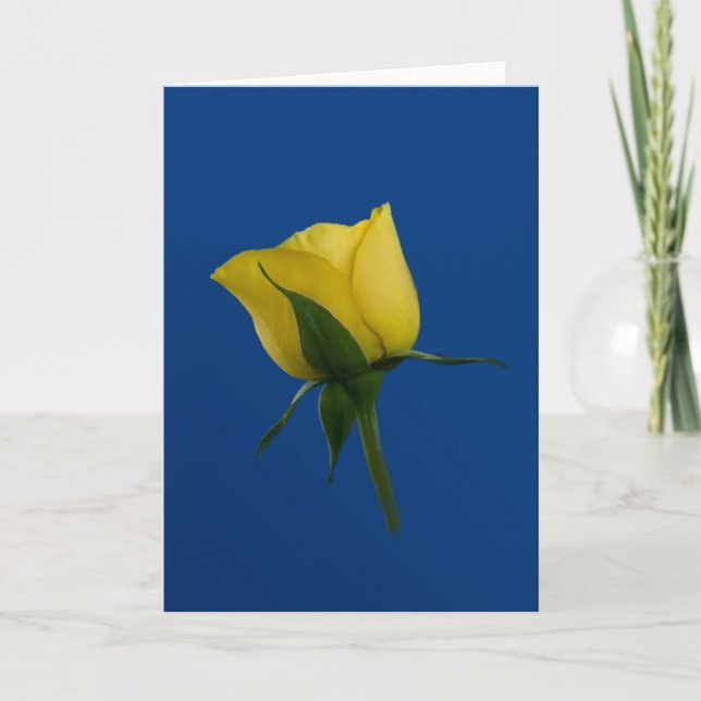 Cartão Yellow Rose Blank Note or Greeting Card (Frente)