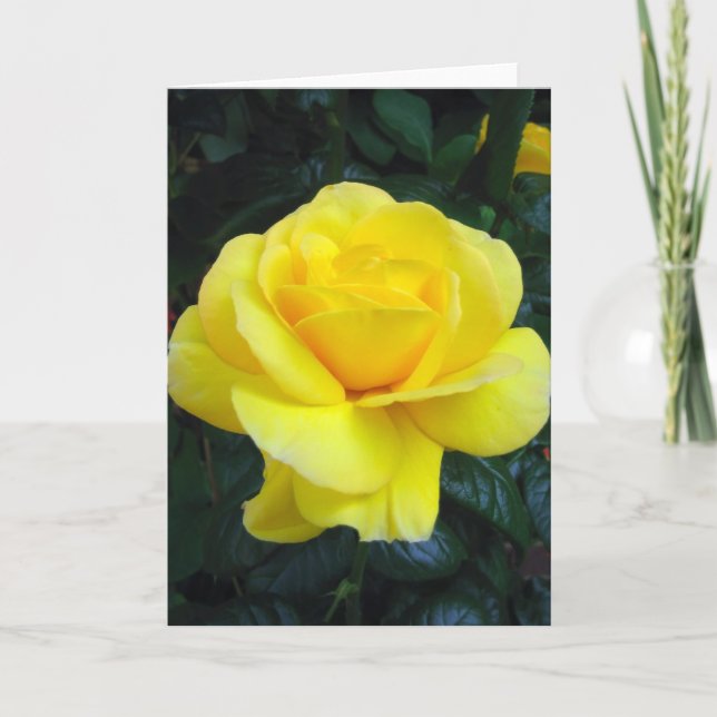 Cartão Yellow rose - Card (Frente)