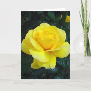 Cartão Yellow rose - Card