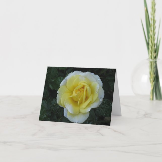 Cartão Yellow Rose note card (Frente)