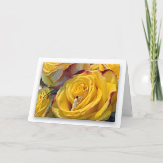 Cartão Yellow Rose of Nexus (white background)