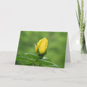 Cartão Yellow rosebud card