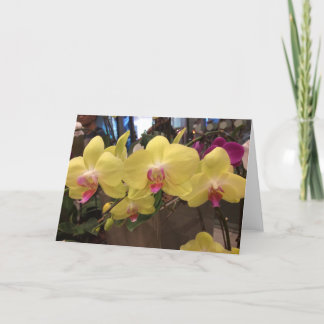 Cartão Yellow Singapore orchid greeting card