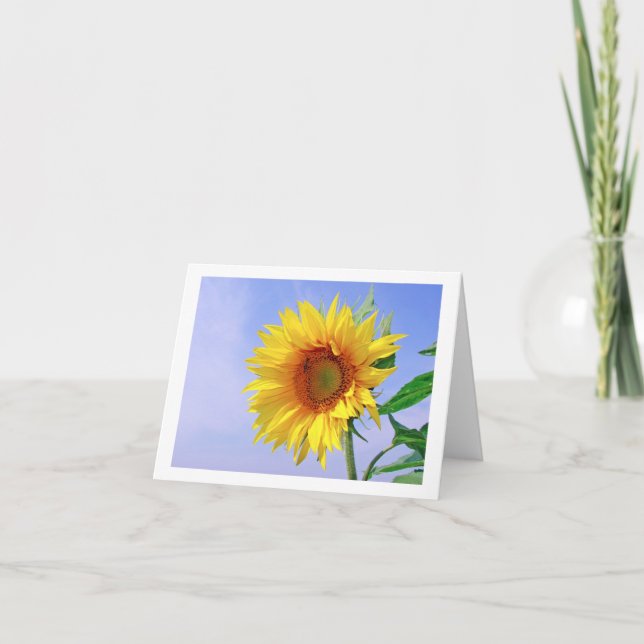 Cartão Yellow Sunflower Floral Blank Note Card (Frente)