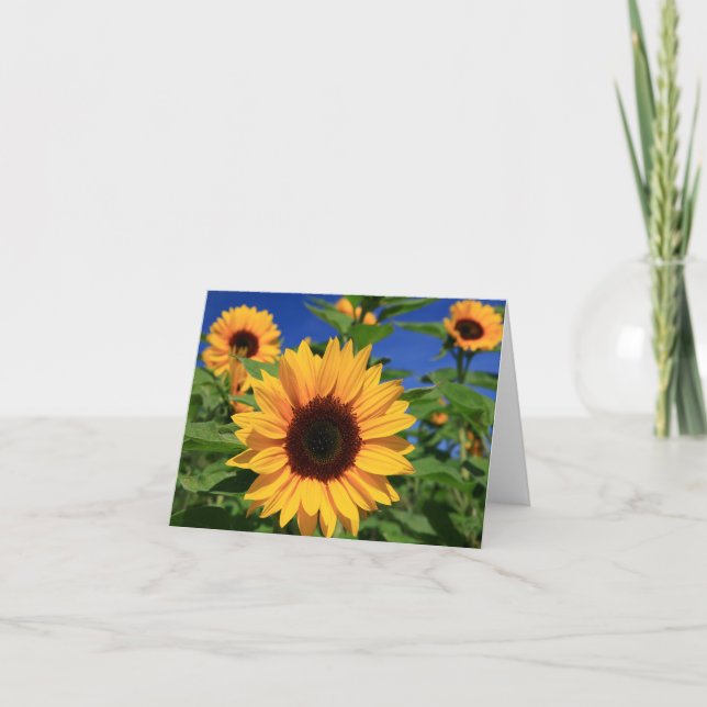 Cartão Yellow Sunflower Floral Blank Notecard (Frente)