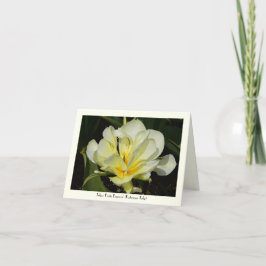Cartão Yellow Tulip Stationary Greeting Note Card