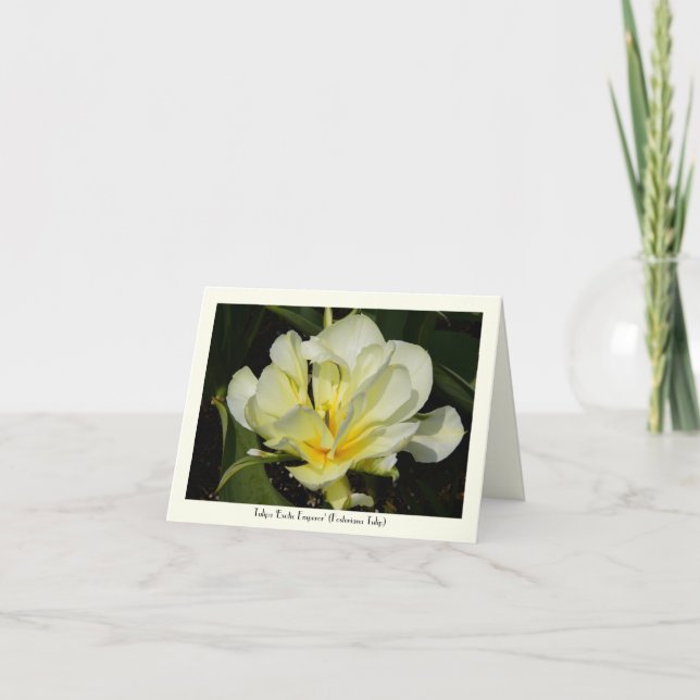 Cartão Yellow Tulip Stationary Greeting Note Card (Frente)