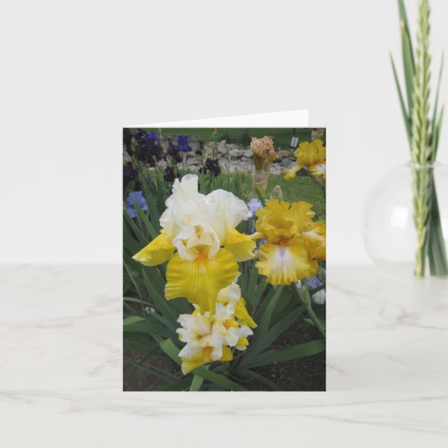 Cartão Yellow White Iris Small Note Card (Frente)