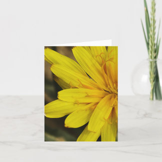 Cartão Yellow Wildflower Notecard (2010)