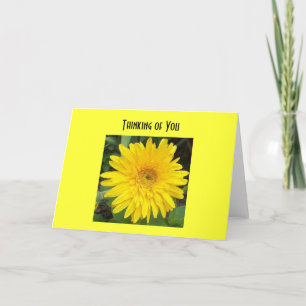 Cartão yellowgerberdaisy, Thinking of You