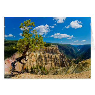 Cartão Yellowstone Canyon Edge