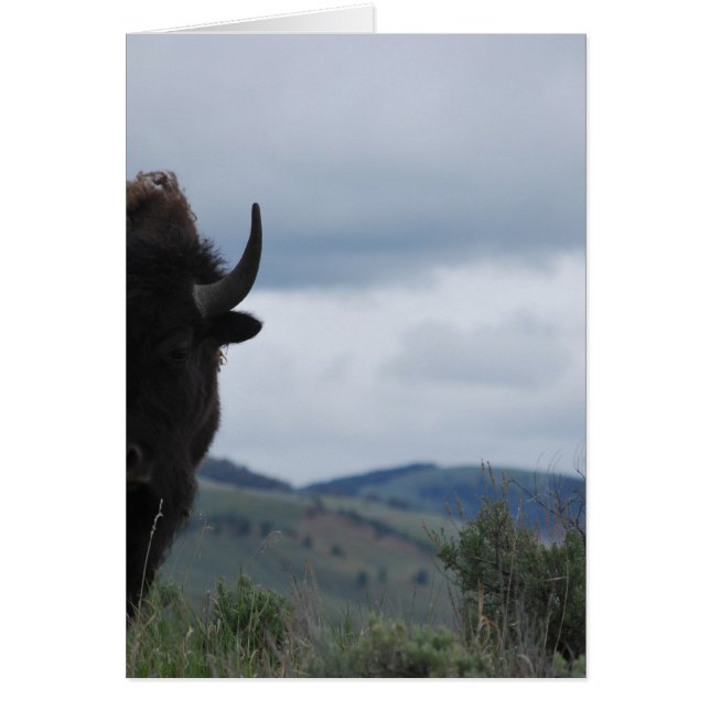 Cartão Yellowstone Guardian (Frente)