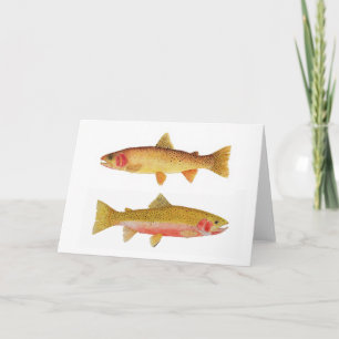 Cartão Yellowstone & Westslope Cutthroat Trout