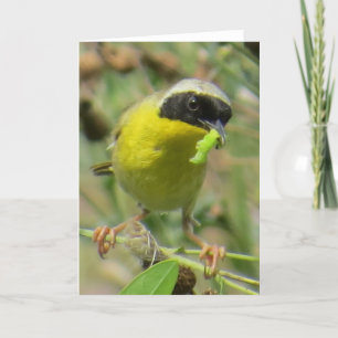 Cartão Yellowthroat