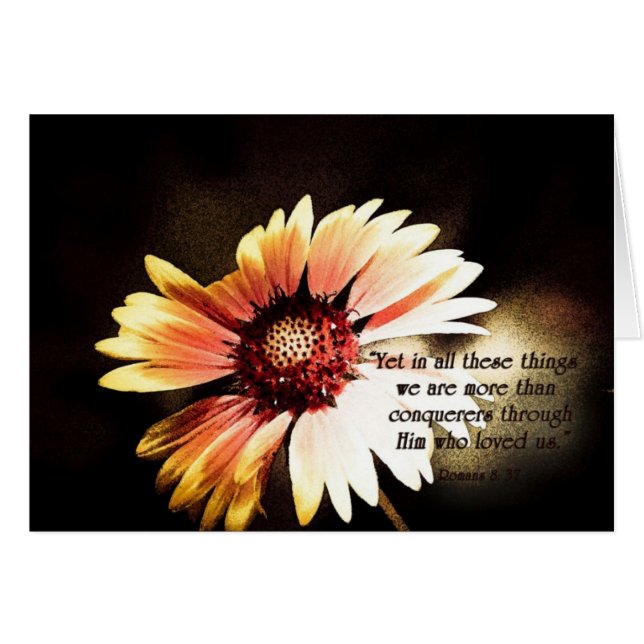 Cartão YetinallEssasCoisasZazzle (Frente horizontal)