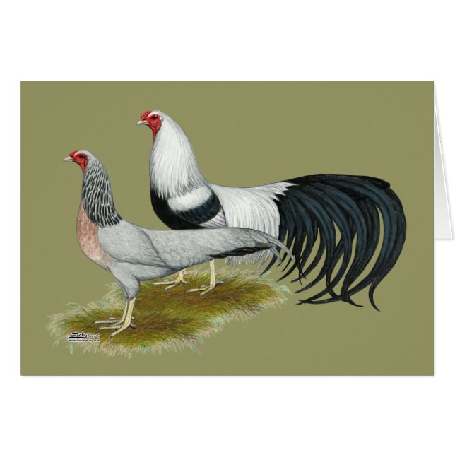 Cartão Yokohama: Par de Duque de Prata (Frente Horizontal)