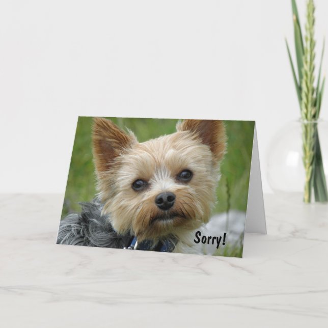 Cartão Yorkie (Frente)