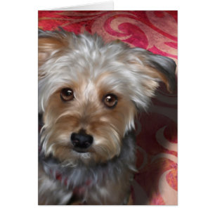 Cartão Yorkie