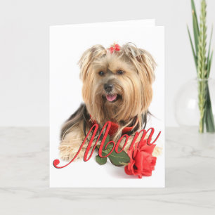 Cartão Yorkie and red rose (MOM)