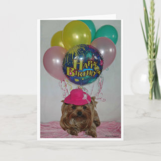 Cartão Yorkie Balloon Happy B Day