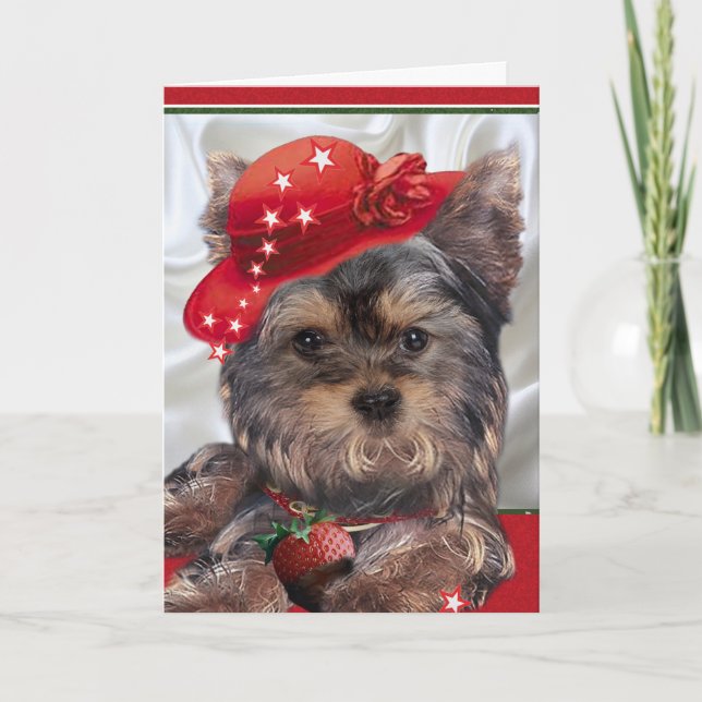 Cartão Yorkie in red hat cards (Frente)