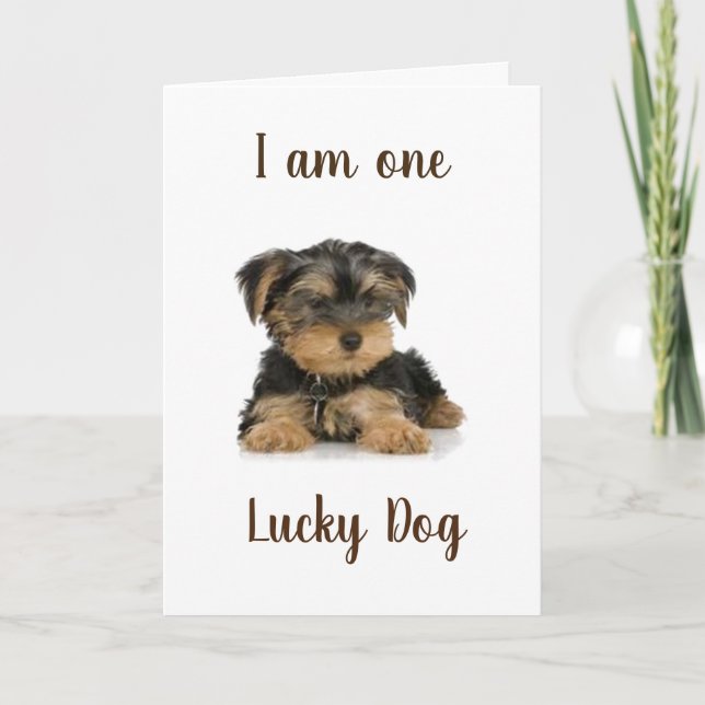 CARTÃO "YORKIE IS ONE LUCKY DOG" BIRTHDAY WISHES (Frente)