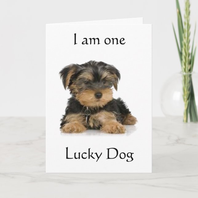 CARTÃO "YORKIE IS ONE LUCKY DOG" BIRTHDAY WISHES (Frente)