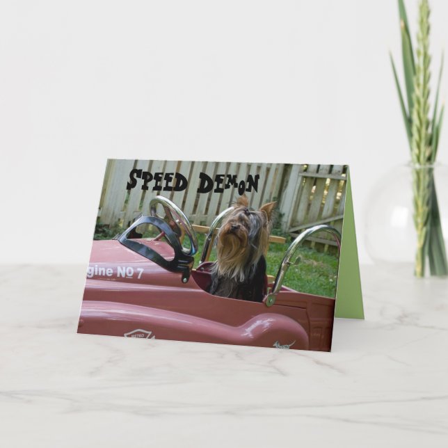 Cartão Yorkie no Aniversário do Carro (Frente)
