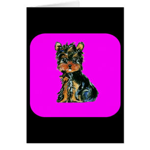 Cartão Yorkie Poo
