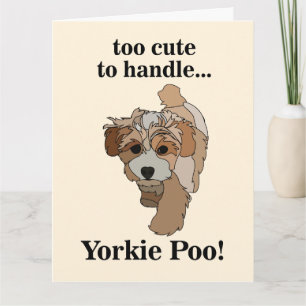 Cartão Yorkie Poo Yorkipoo Cachorro Fofo