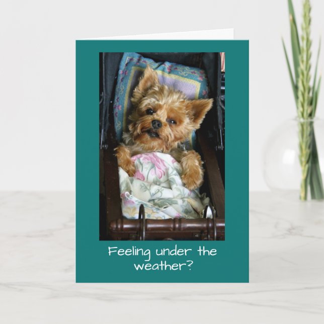 Cartão Yorkie Pup in Baby Carriage (Frente)