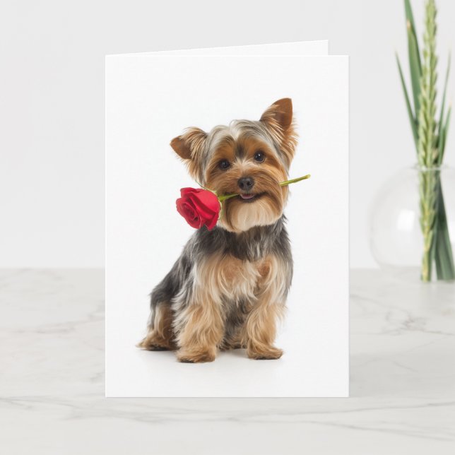 Cartão Yorkie Valentine – Cachorro Pequeno, Grande Amor (Frente)