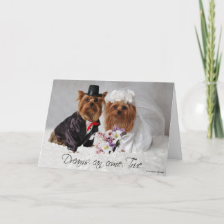 Cartão Yorkie Wedding Dreams Can Come True