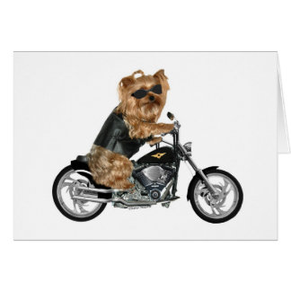 Cartão Yorkie Yorkshire Terrier Biker