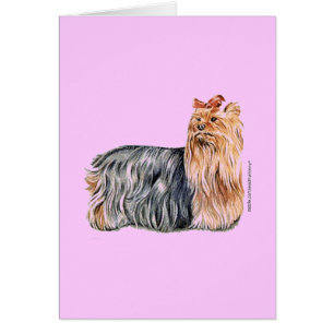Cartão Yorkshire Terrier