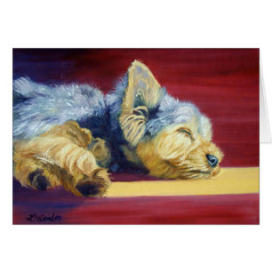 Cartão  Yorkshire Terrier