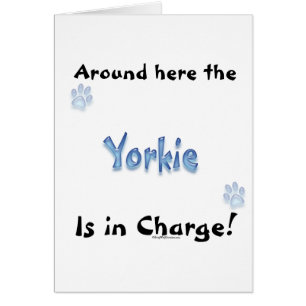 Cartão Yorkshire Terrier Charge