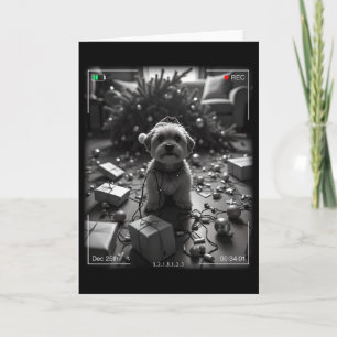 Cartão Yorkshire Terrier de Natal Flagrado pela Câmera