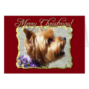 Cartão Yorkshire Terrier dog