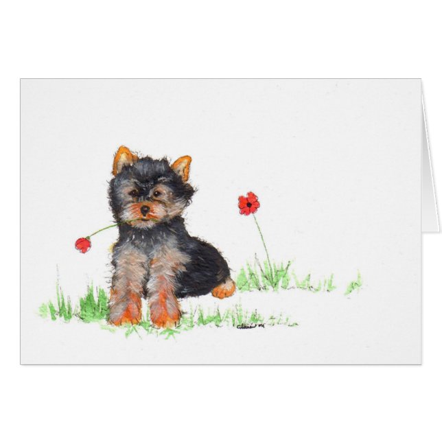 Cartão Yorkshire terrier pup (Frente Horizontal)