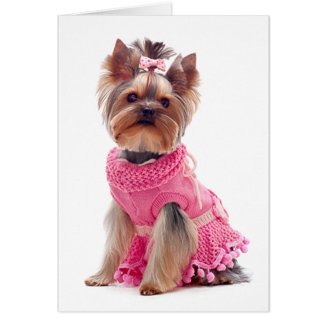 Cartão Yorkshire Terrier Puppy Dog Vazio Card (Frente)