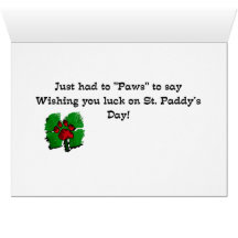 Yorkshire Terrier St Patricks