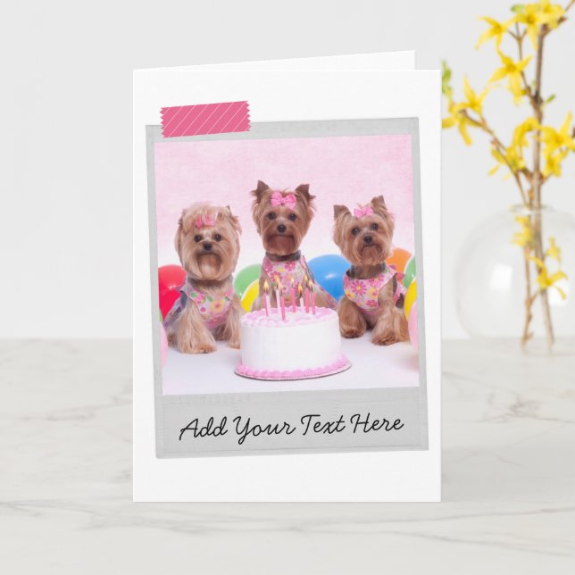 Cartão Yorkshire Terriers Yorkies Birthday Cake Funny (Flor Amarela)