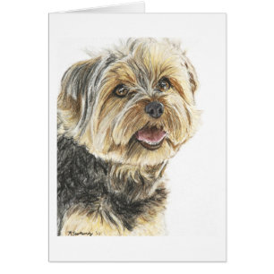 Cartão YorkshireTerrier.jpg